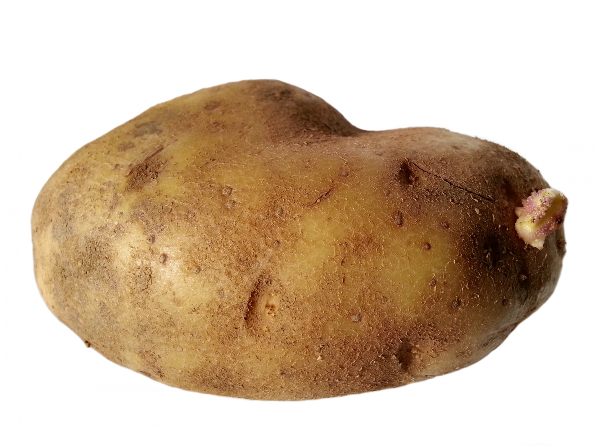 potato potatoes vegetable free photo