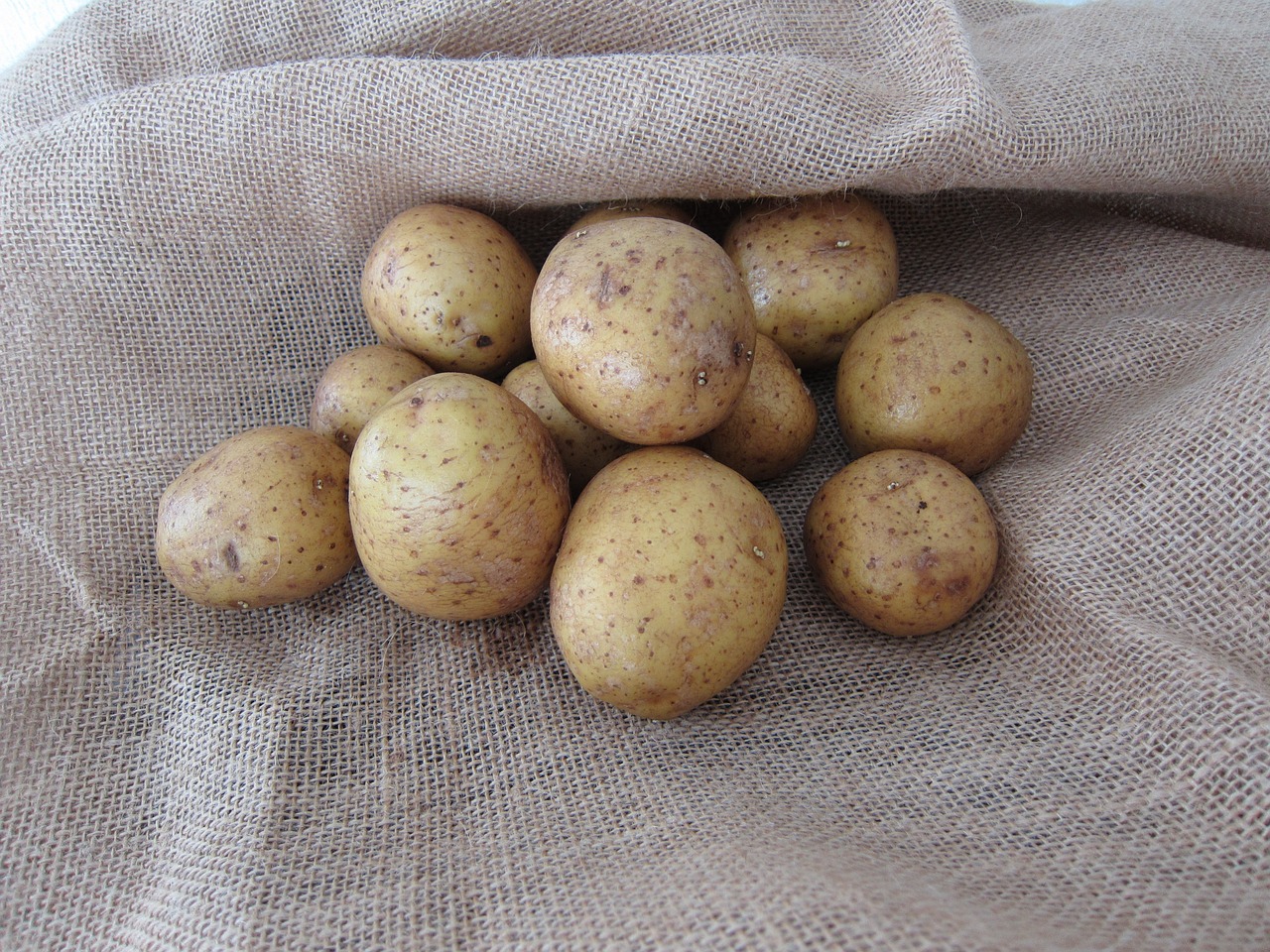 potatoes autumn vegetable garden free photo