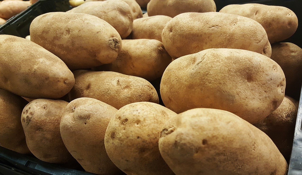 potatoes tubers russet free photo