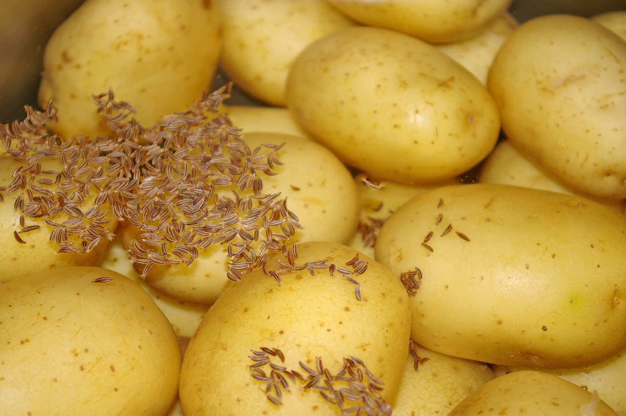 potatoes eat food free photo