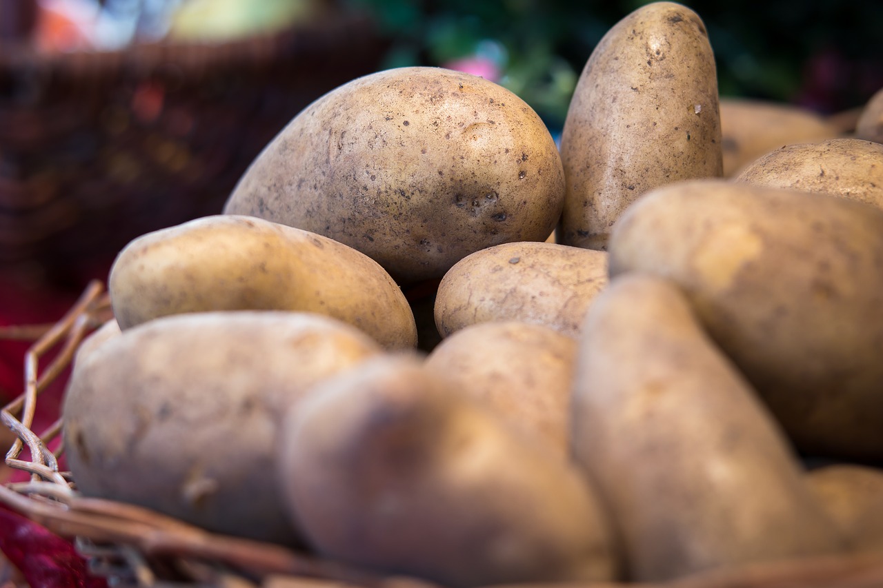 potatoes vegetables thanksgiving free photo