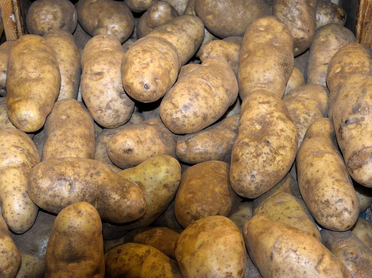 potatoes for sale market free photo