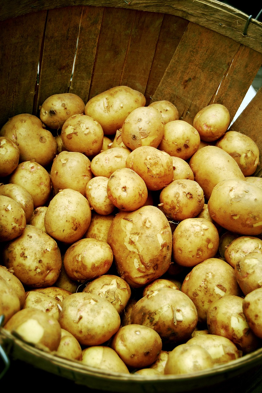 potatoes vegetable potato free photo