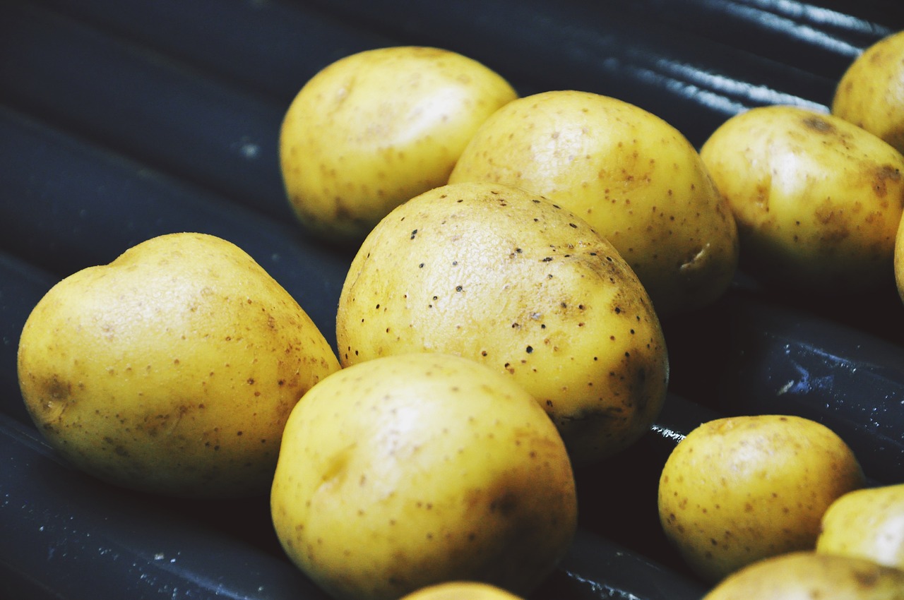 potatoes washing tubers free photo
