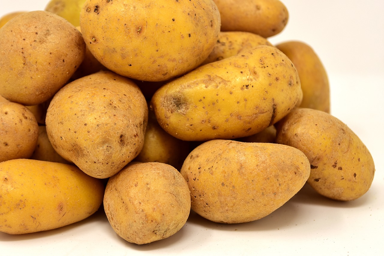 potatoes healthy like to eat free photo