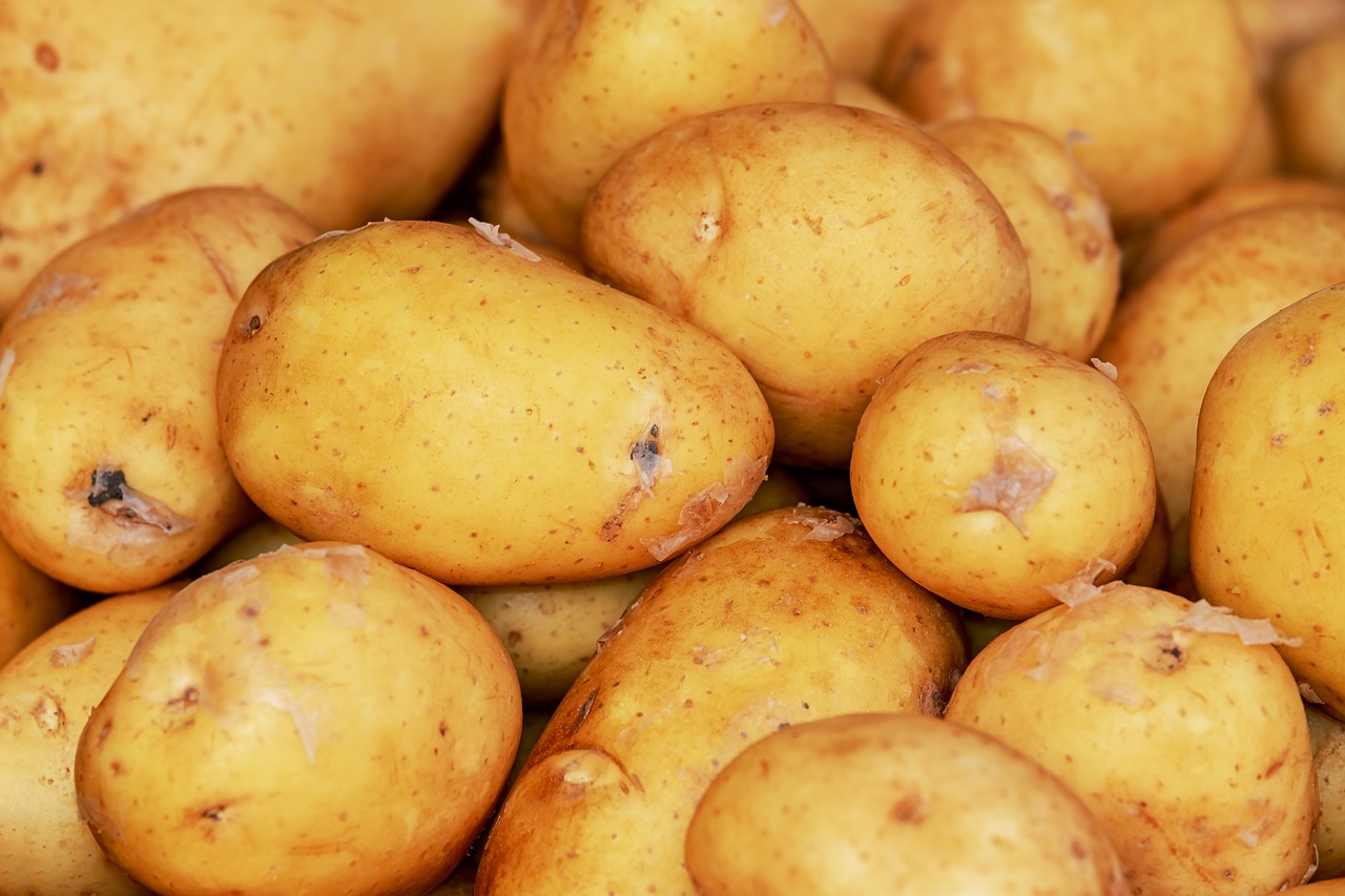 potatoes  erdfrucht  harvest free photo