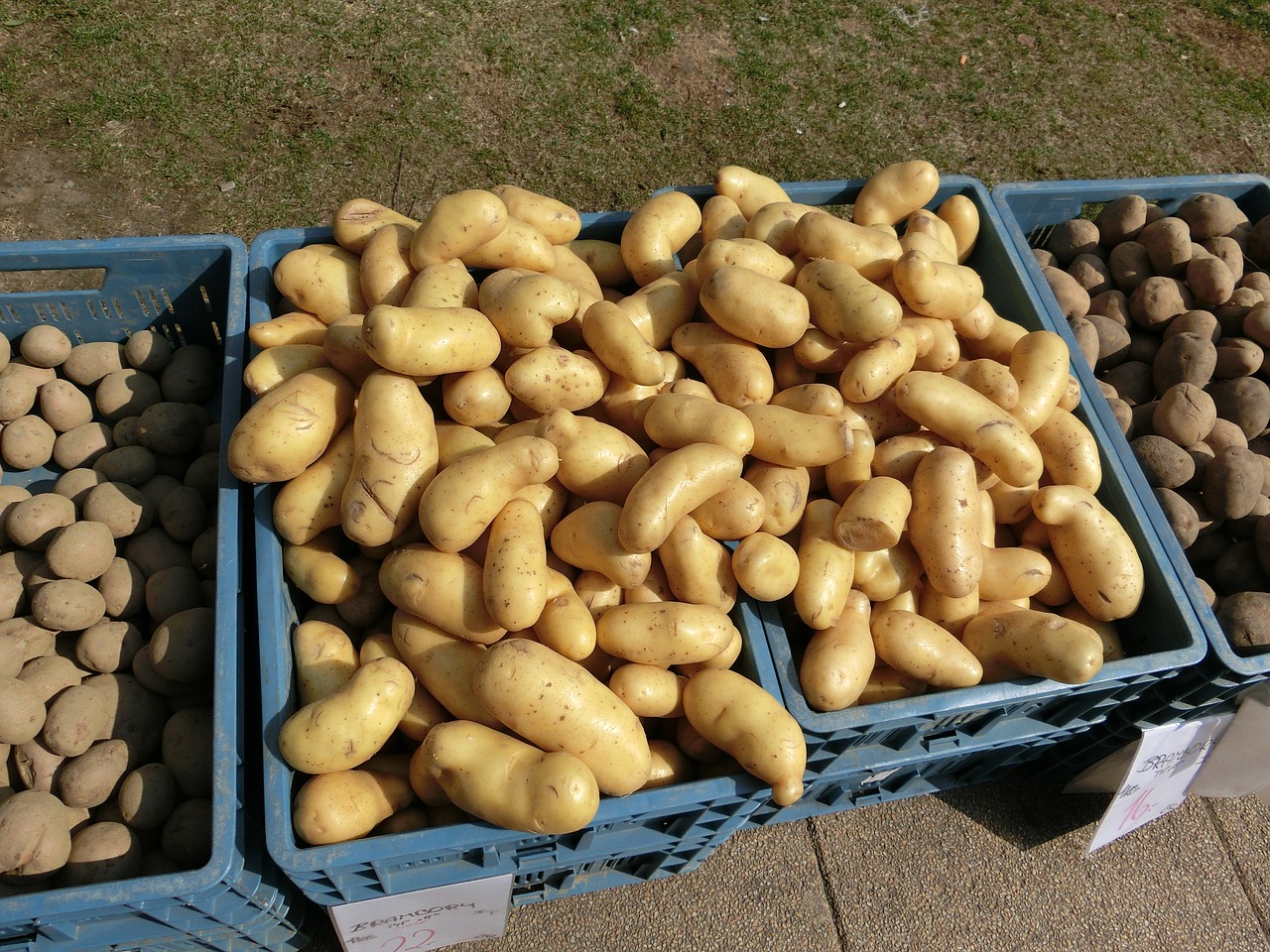 potatoes market vegetables free photo