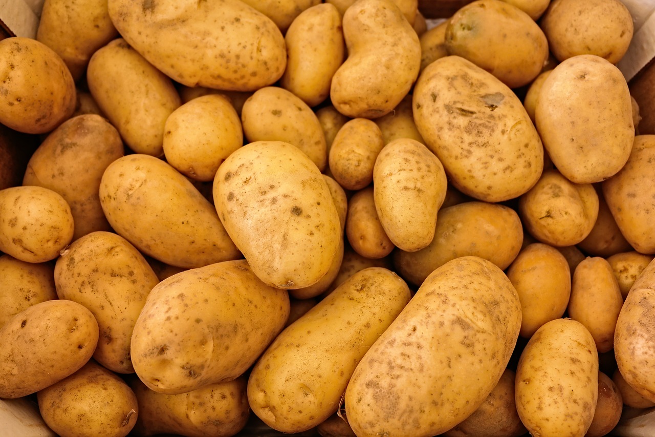 potatoes vegetables raw free photo