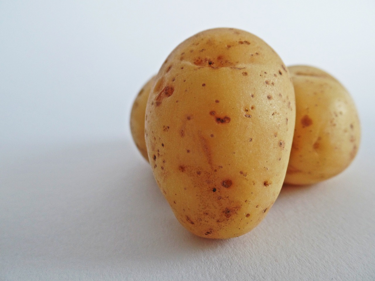 potatoes vegetables field free photo