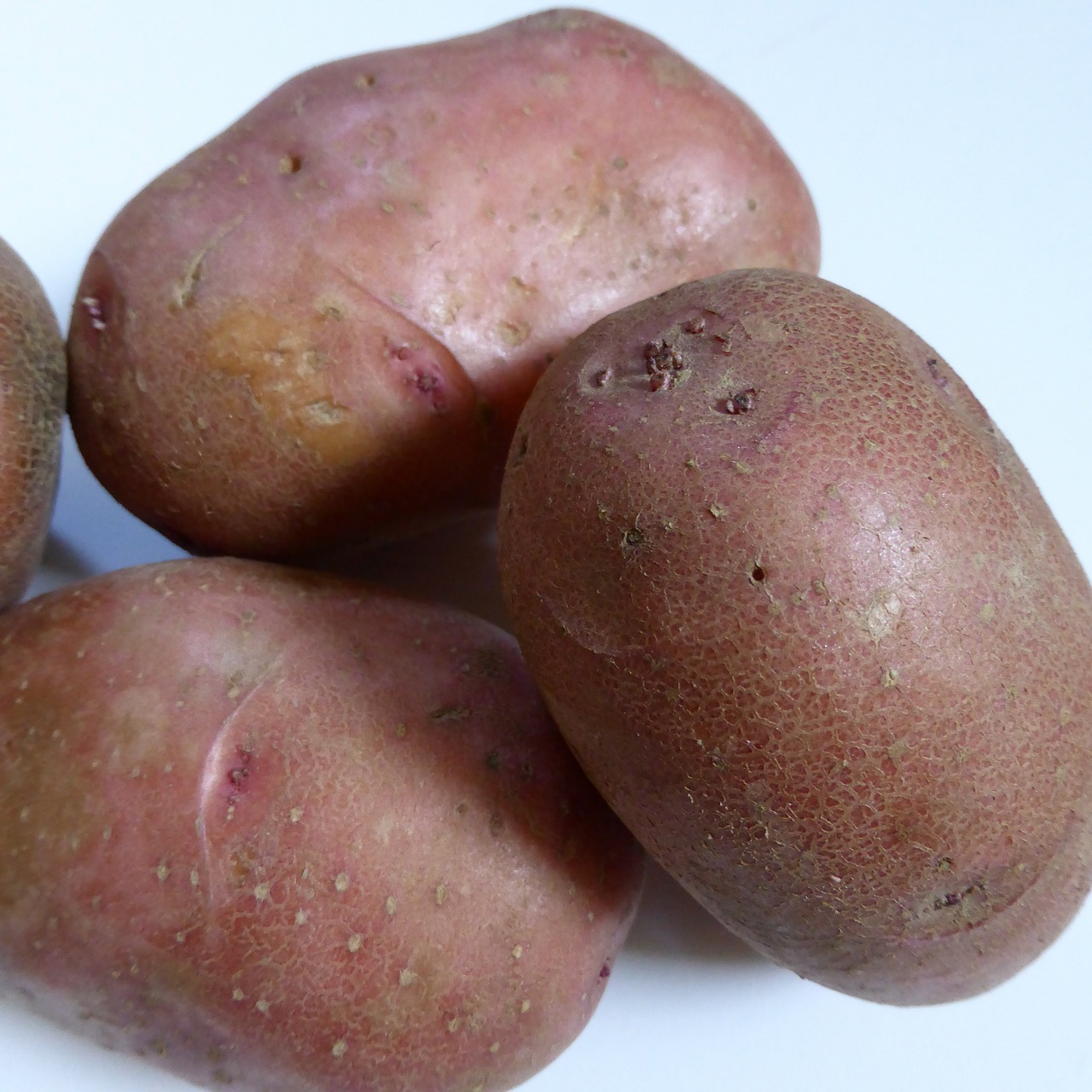 potatoes bio nature free photo