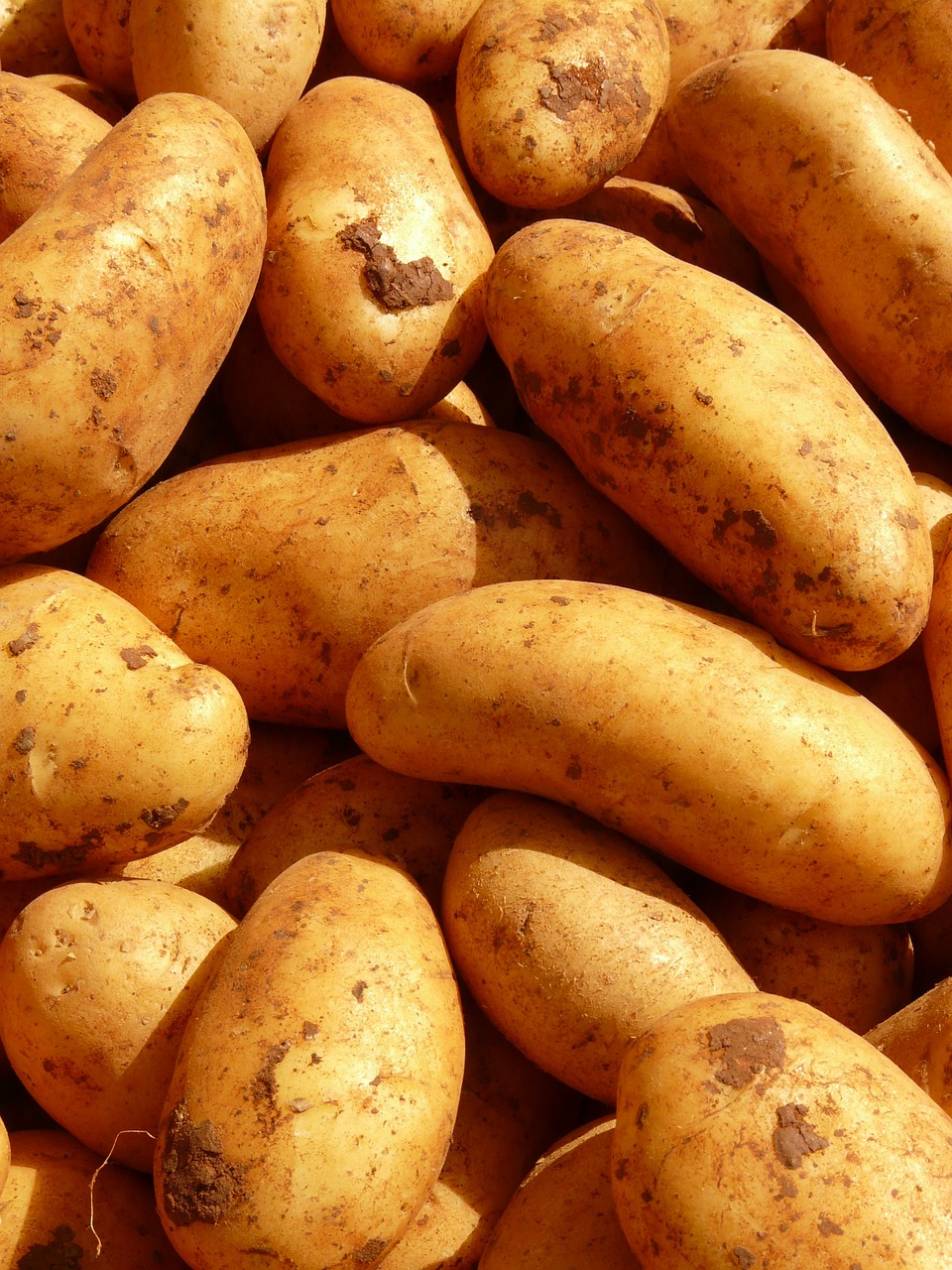 potatoes vegetables potato free photo