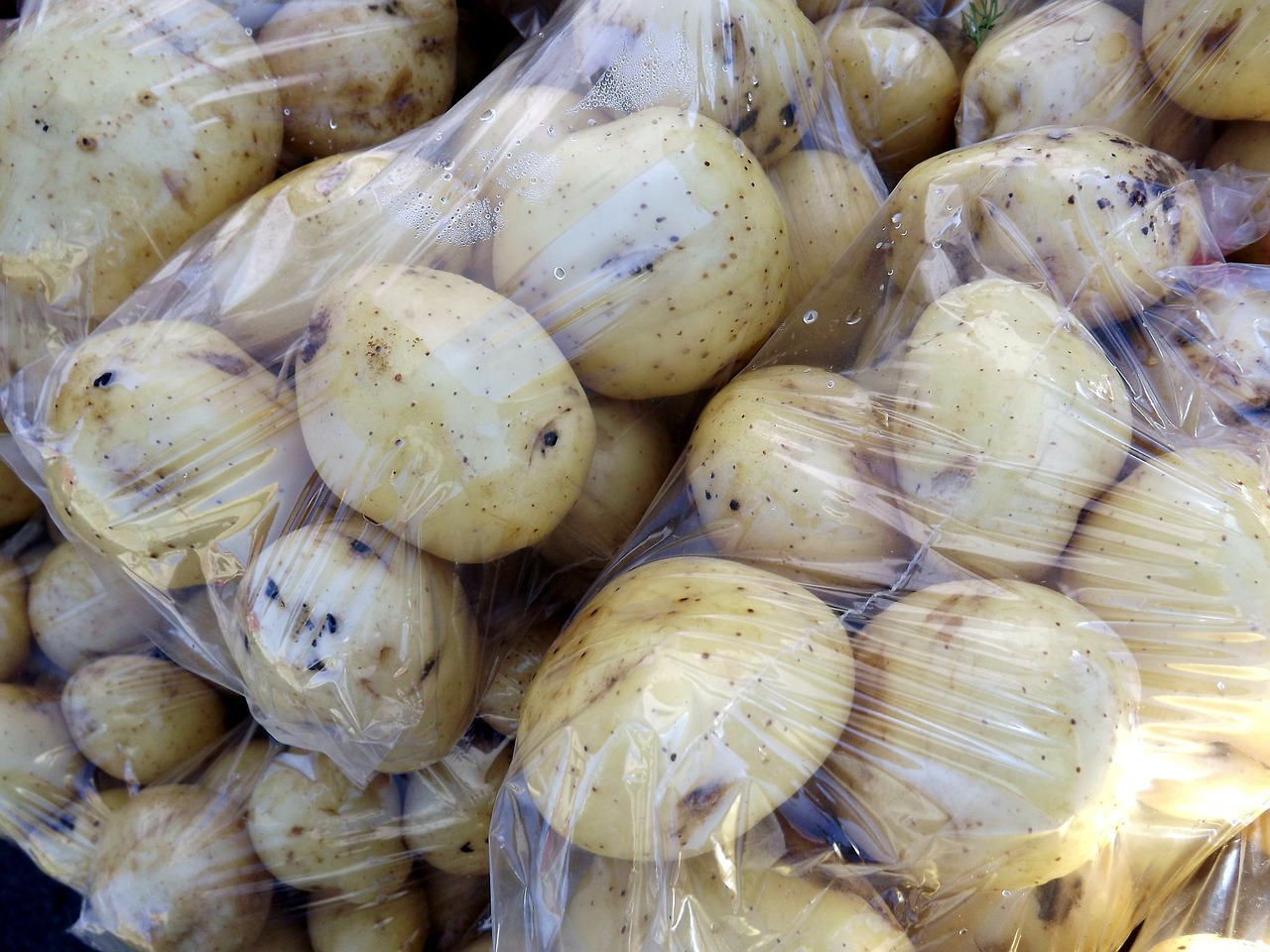 potatoes gardening food free photo