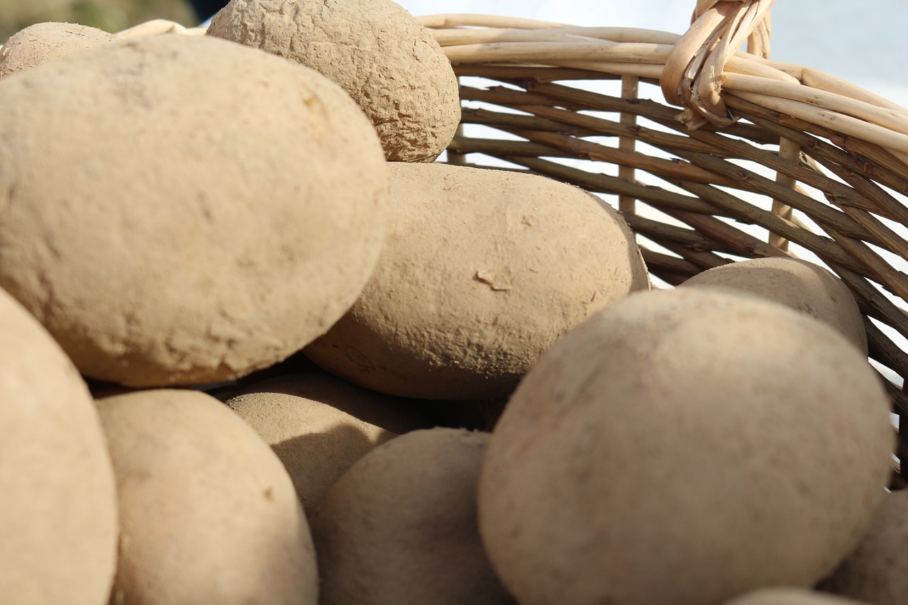 potatoes basket lantarbeit free photo