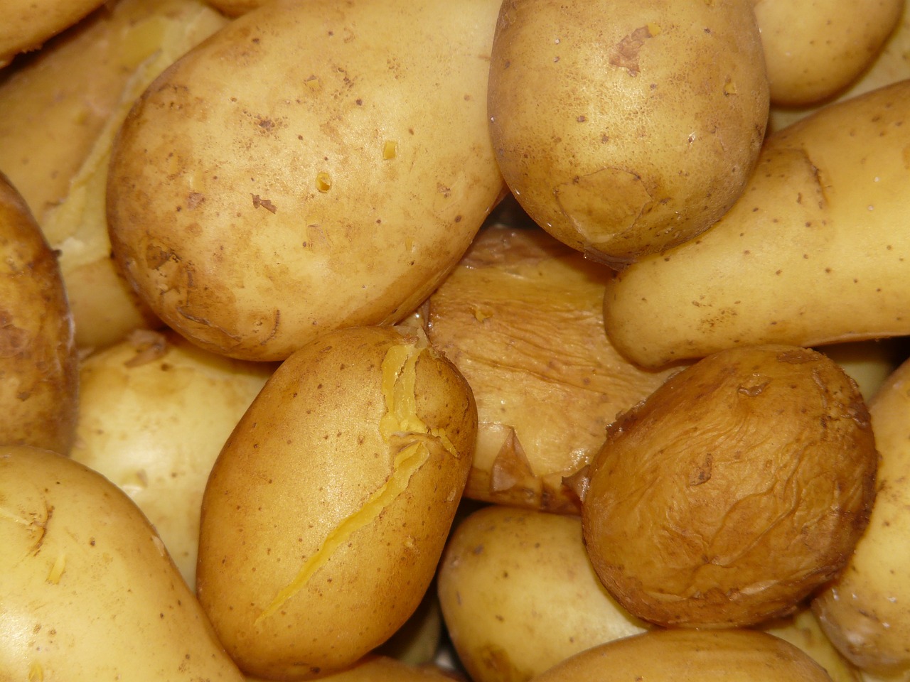 potatoes cooked cook free photo