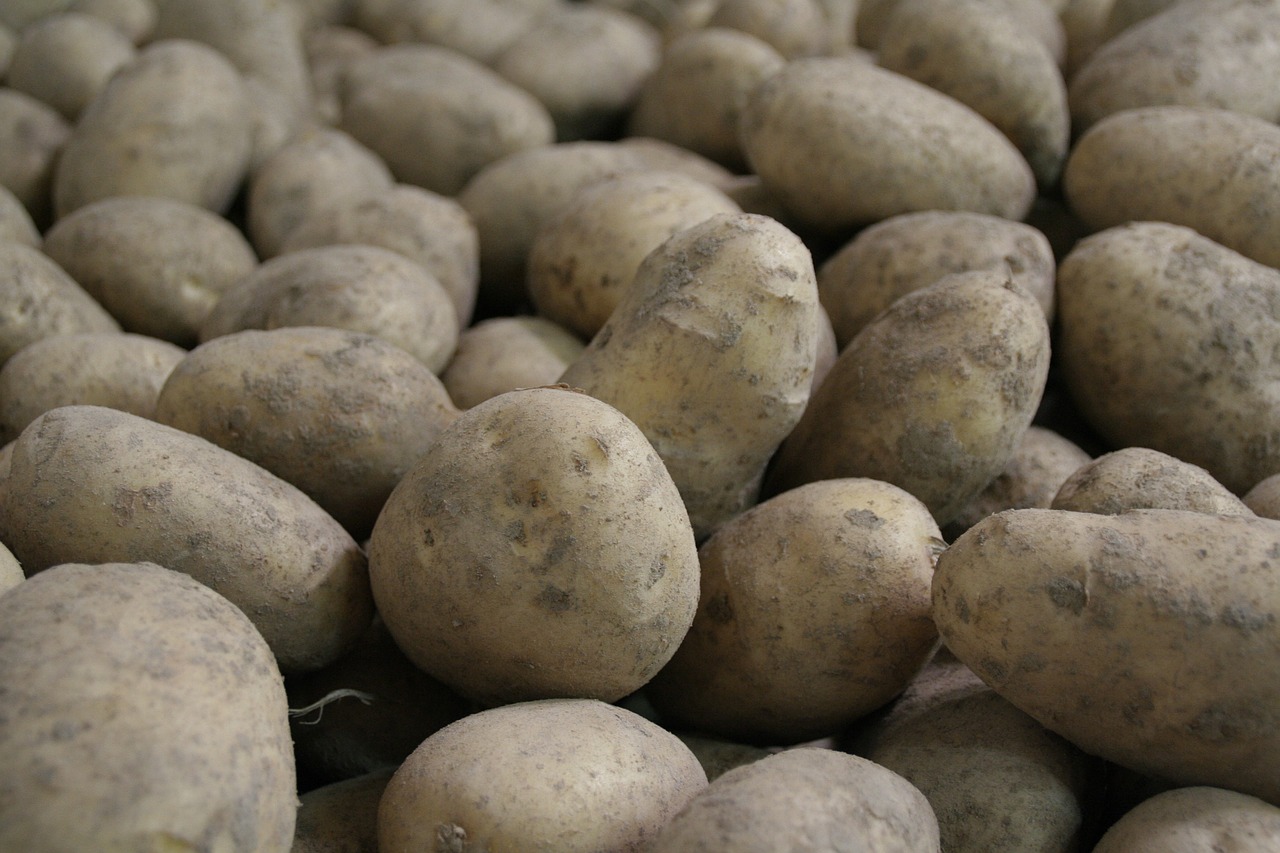 potatoes potato potatoe free photo