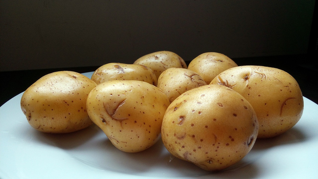 potatos potatoes shell free photo