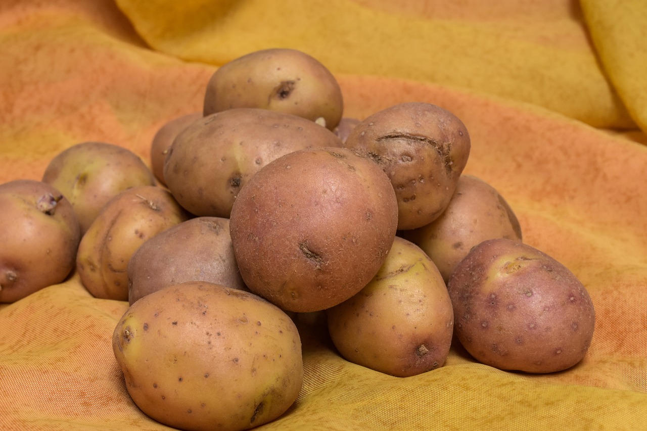 potatos  food  nutrition free photo