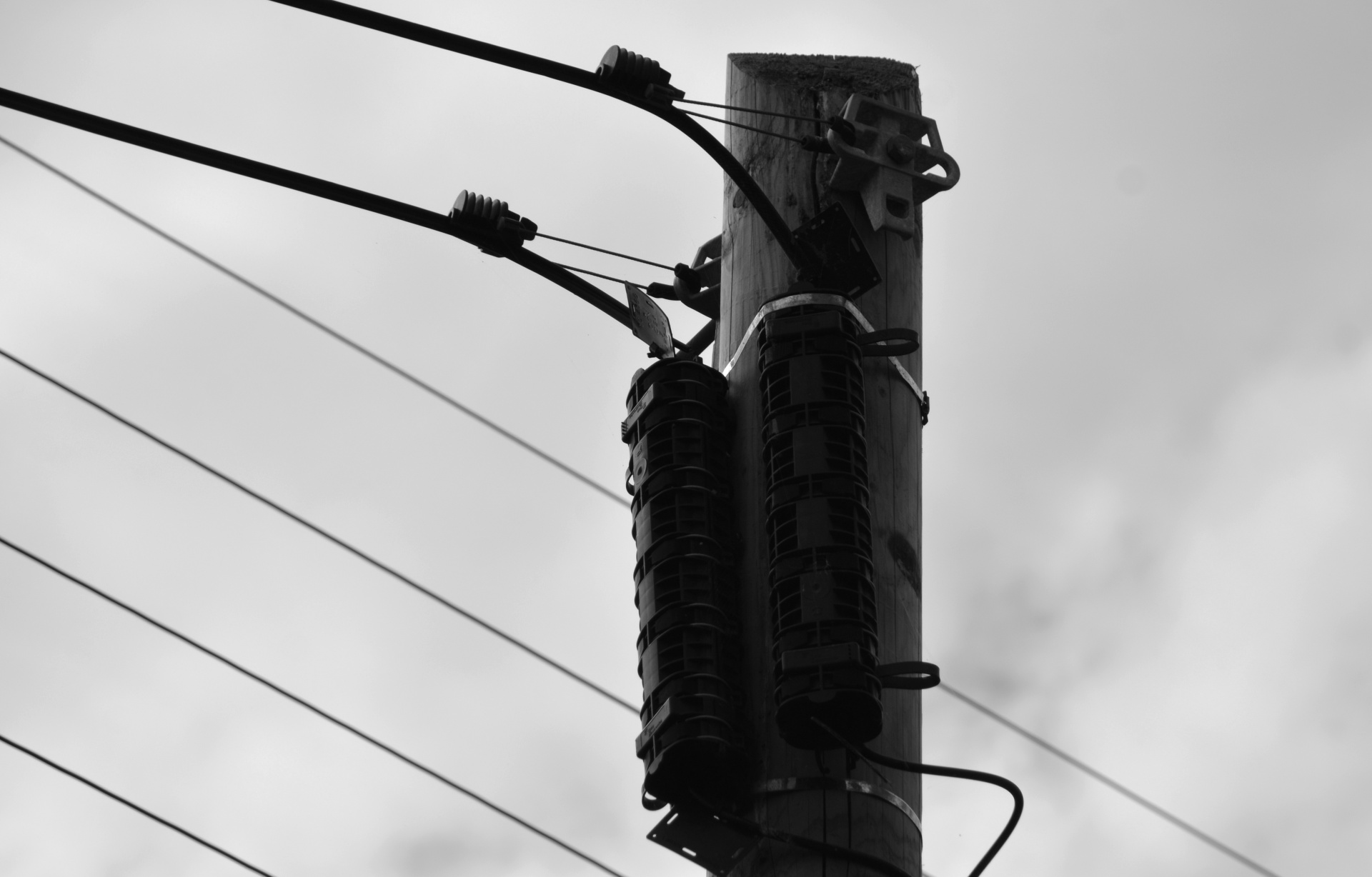 electricity electrical wires pylon free photo