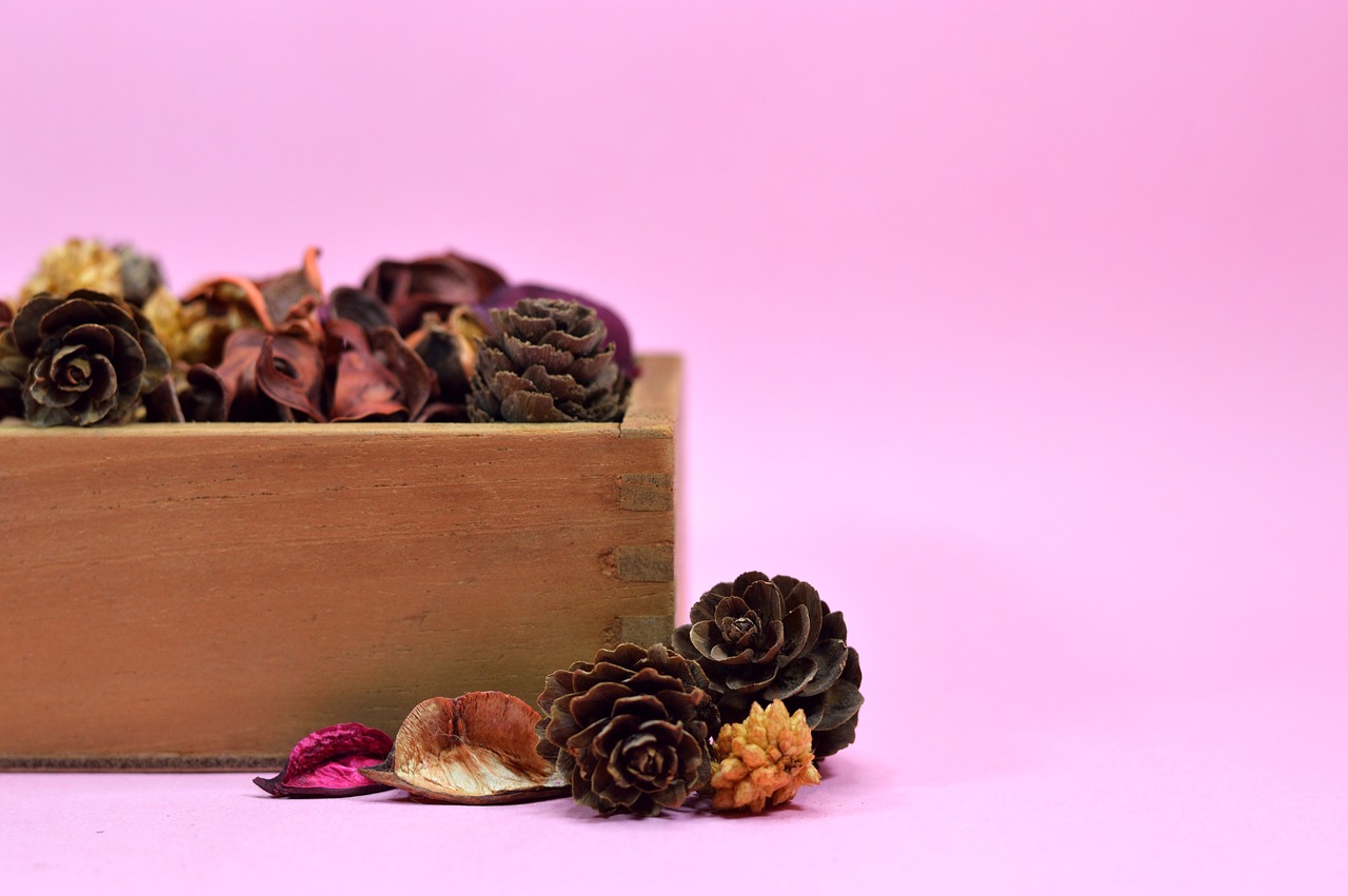 potpourri dry dehydrated free photo