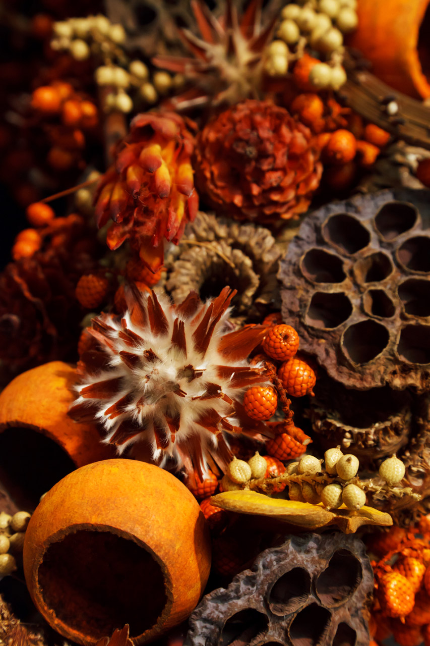 aroma aromatherapy autumn free photo