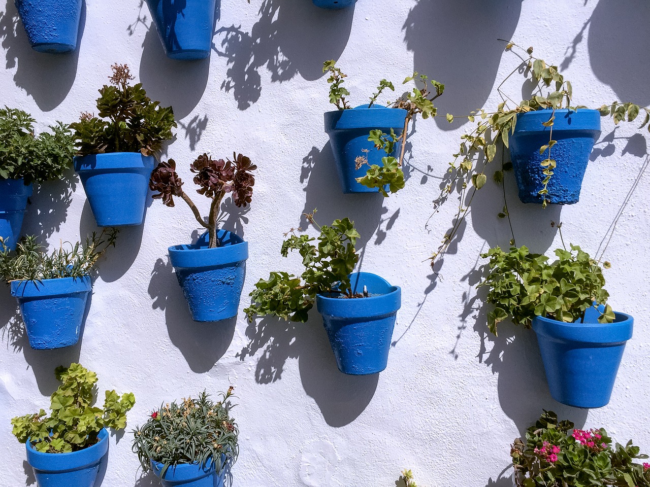 pots blue wall free photo