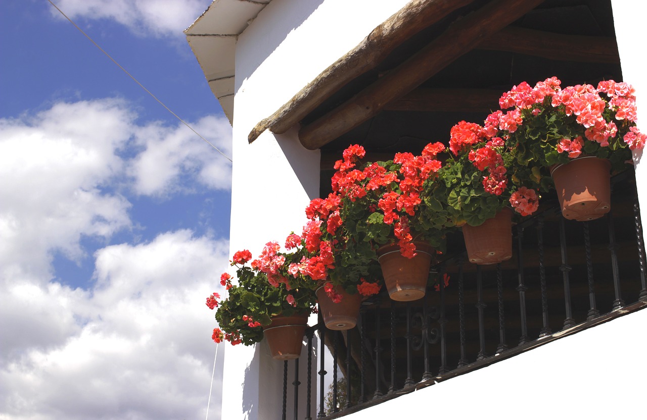 pots balcony alpujarras free photo