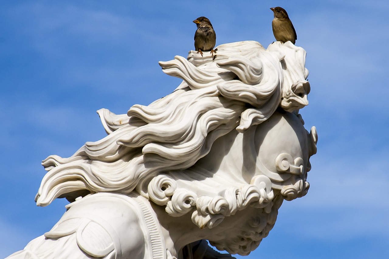 potsdam statue sparrows free photo