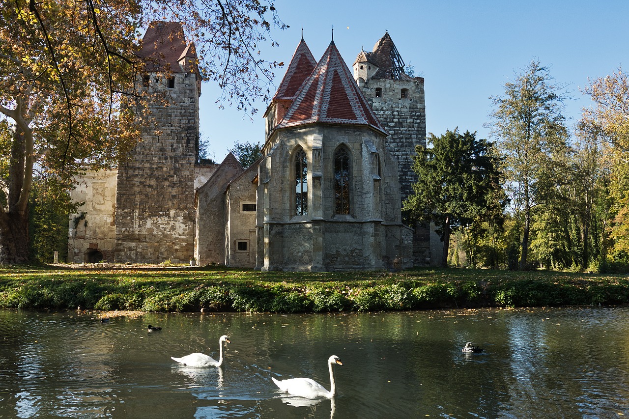 pottendorf  castle park  swans free photo