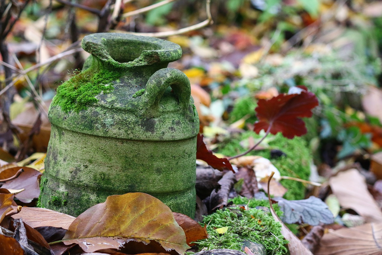 pottery fall garden decoration free photo