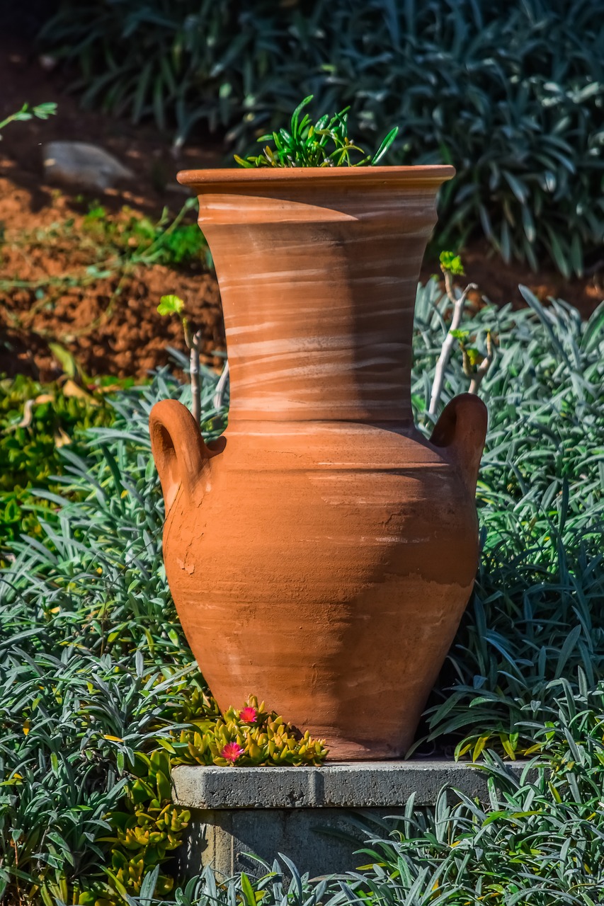 pottery  garden  pot free photo