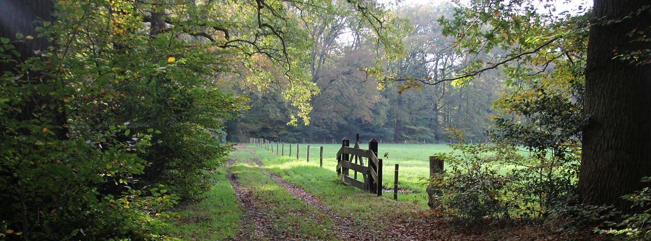 pound sign autumn landscape free photo