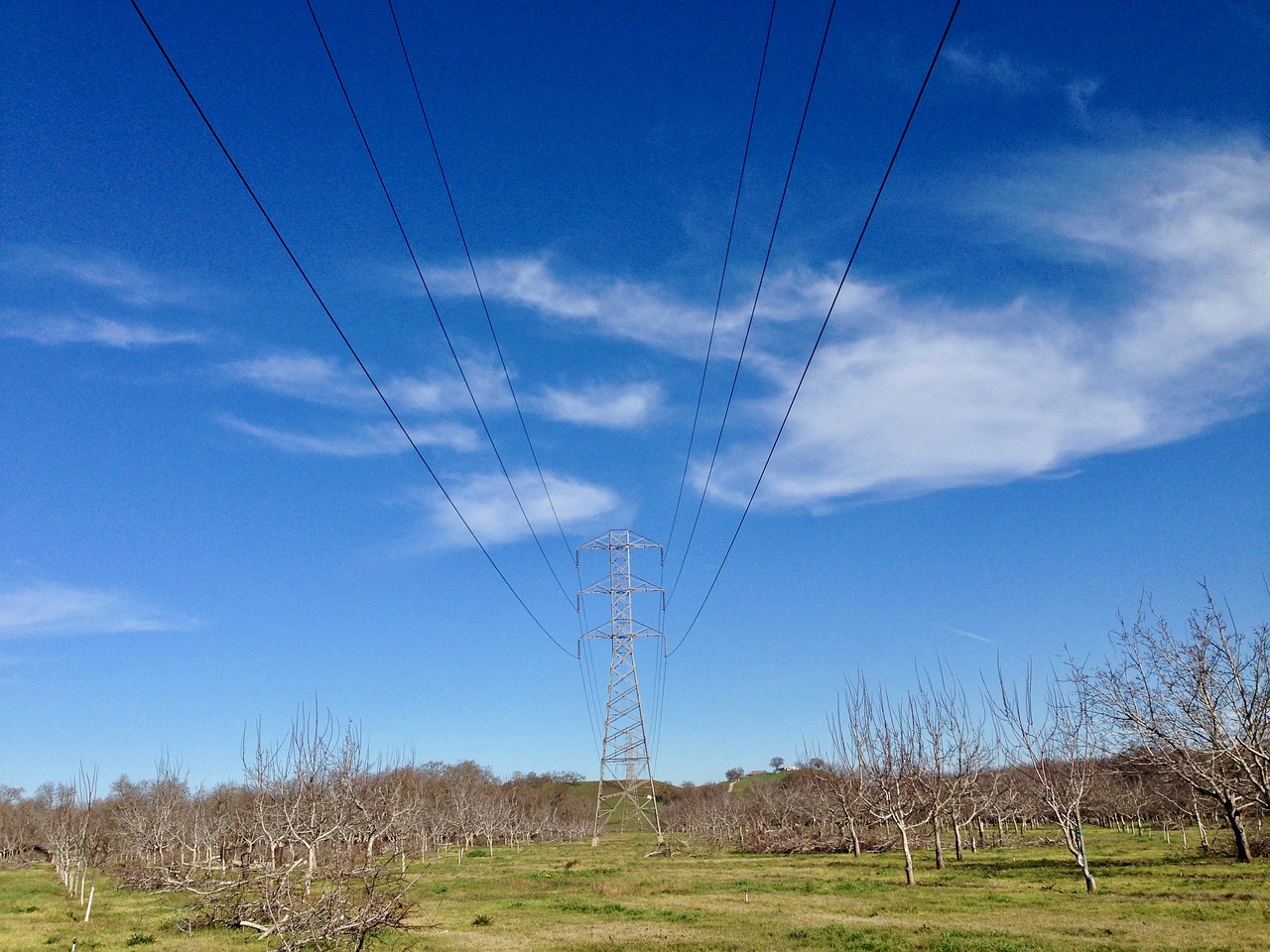 power line orchard rural free photo