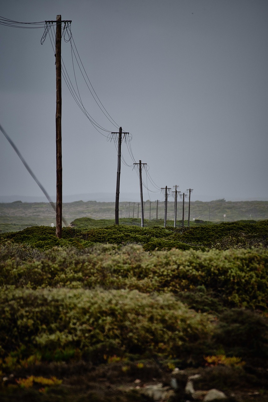 power lines field rural free photo