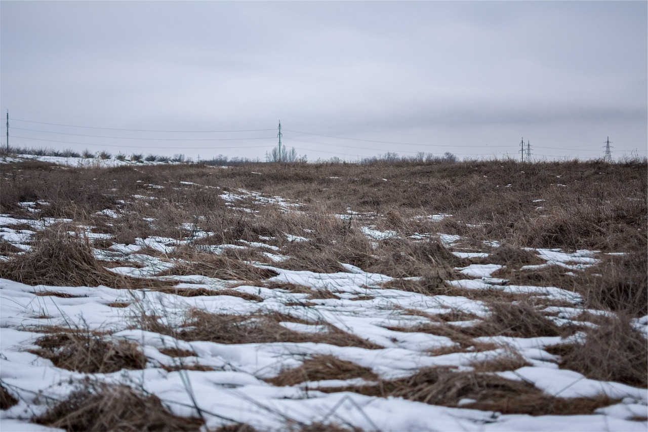 power lines fields snow free photo