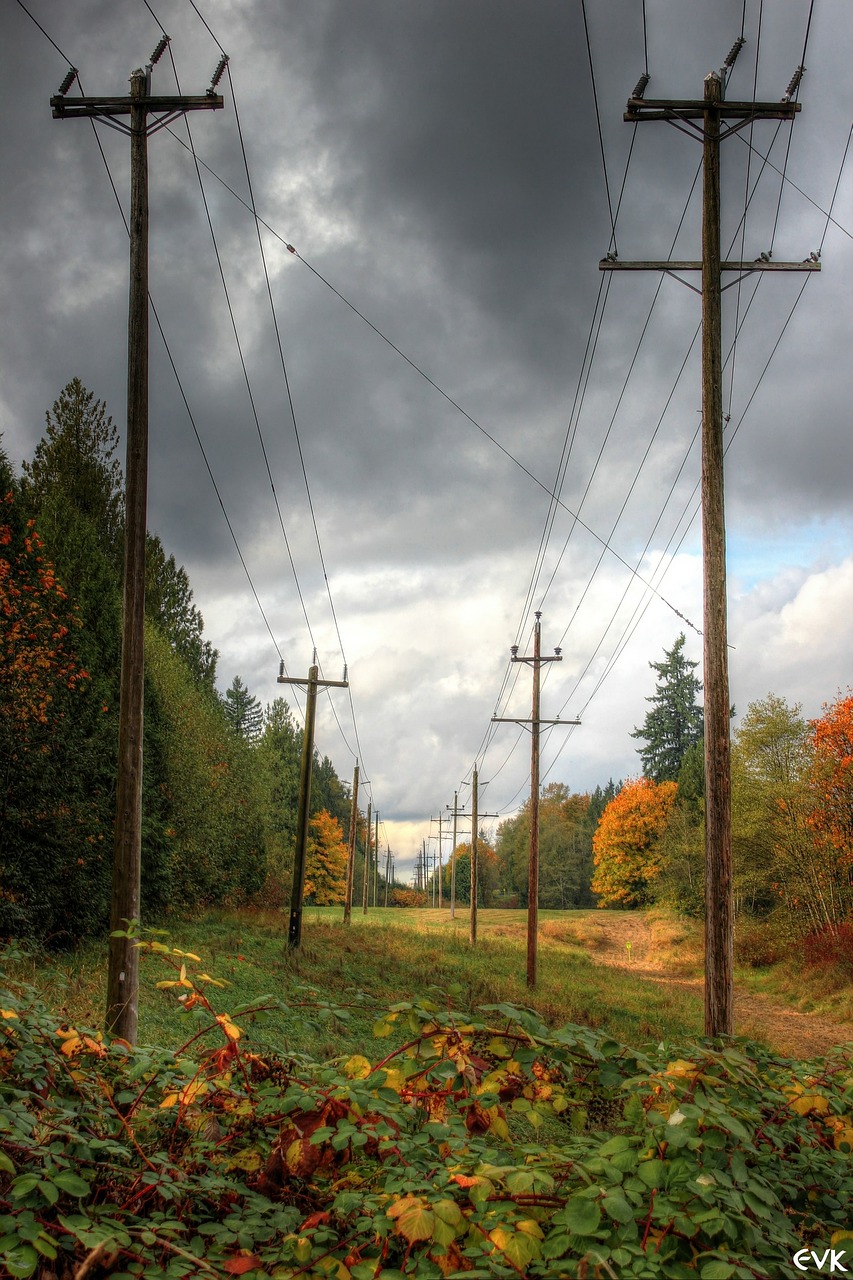 power lines electrical la free photo