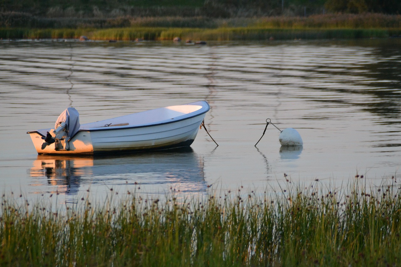 powerboat fishing boat boot free photo