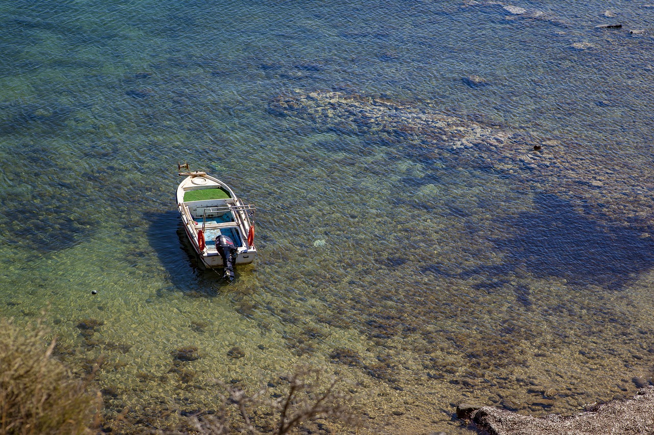 powerboat  boat  water free photo