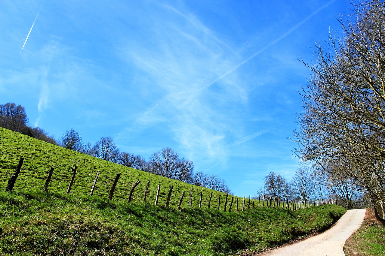 prado green landscape free photo