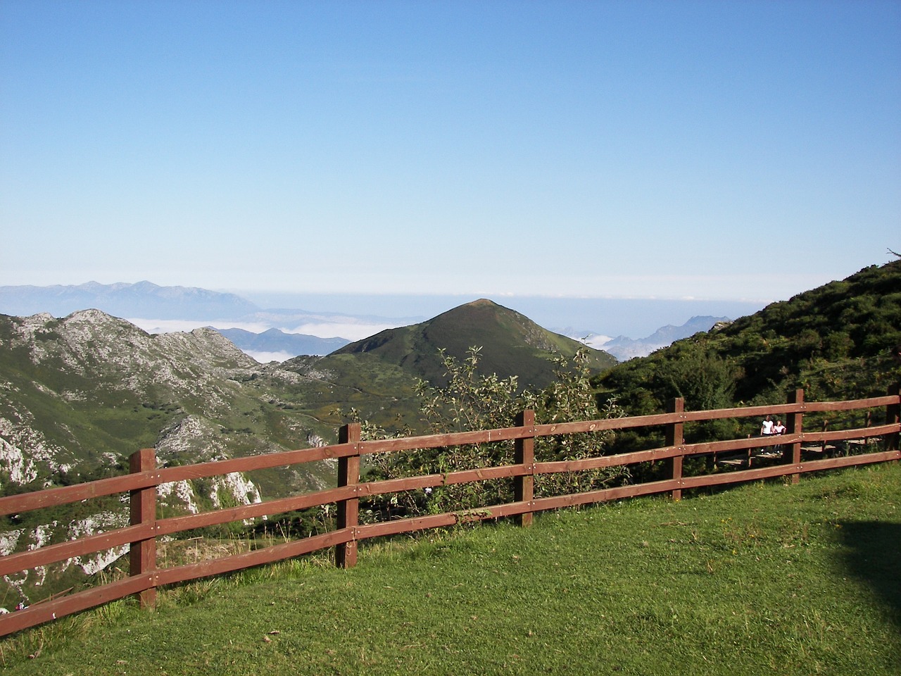 prado grass nature free photo