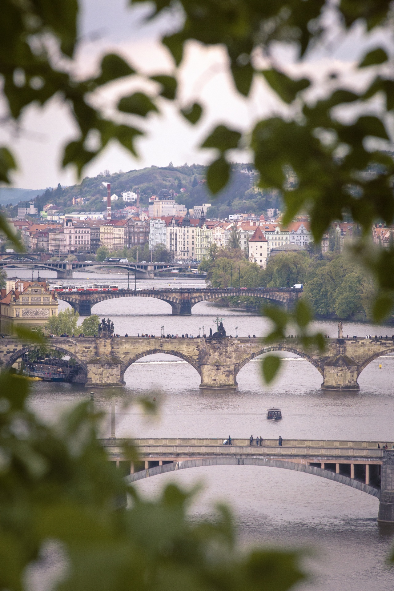 prague czech republic bridges free photo