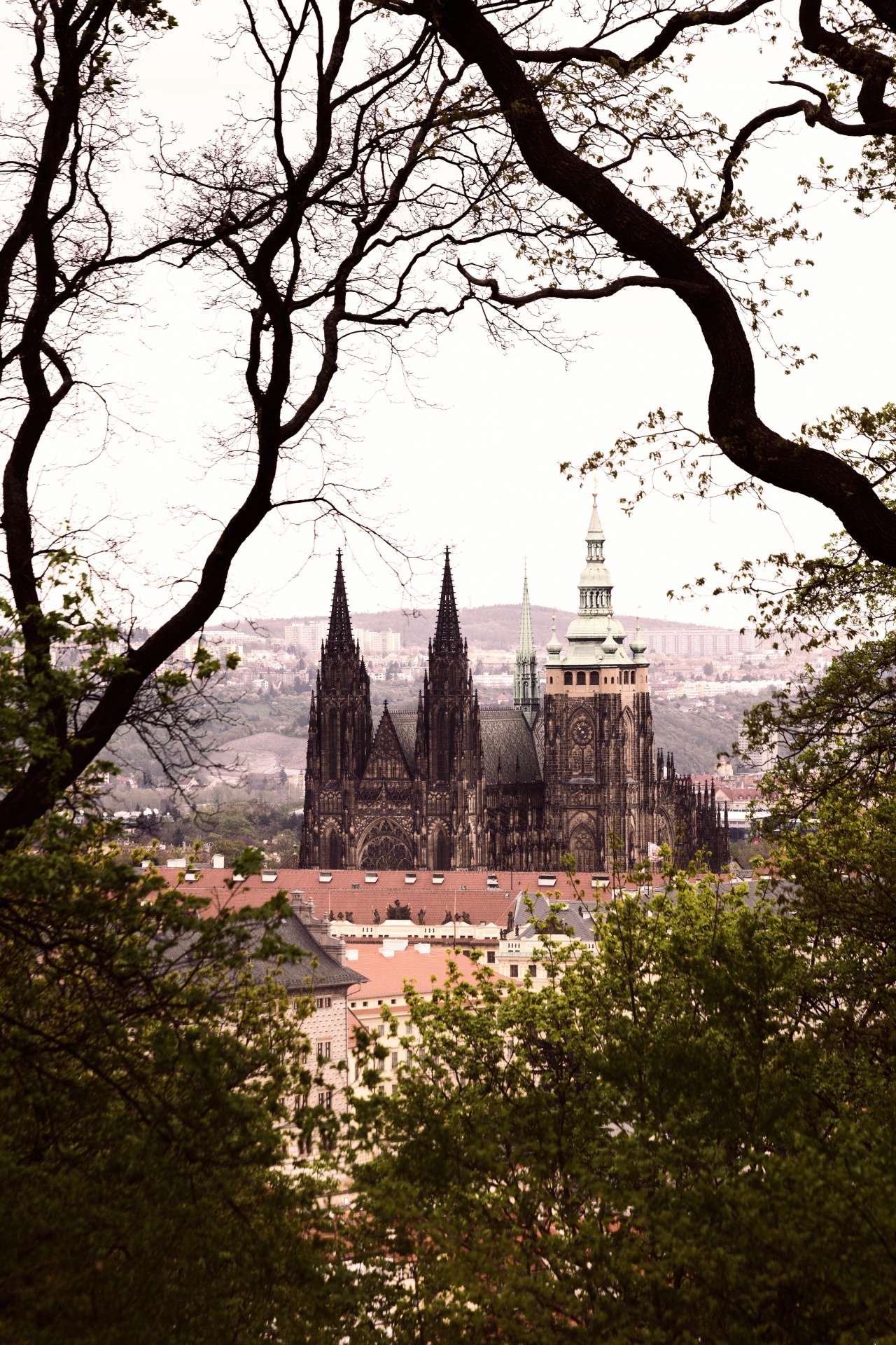 prague prague castle czech republic free photo