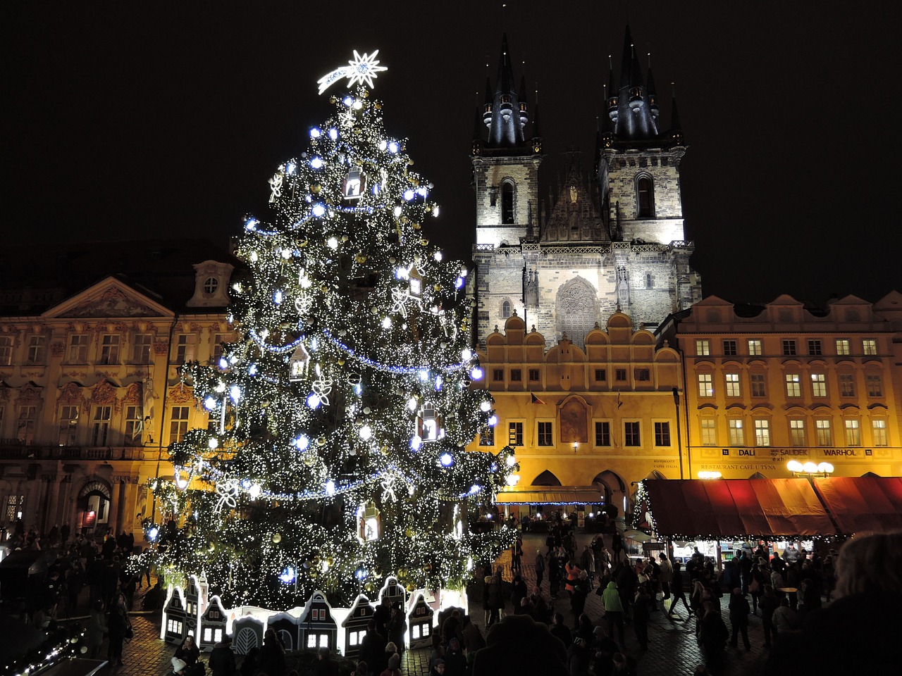 prague christmas tree free photo