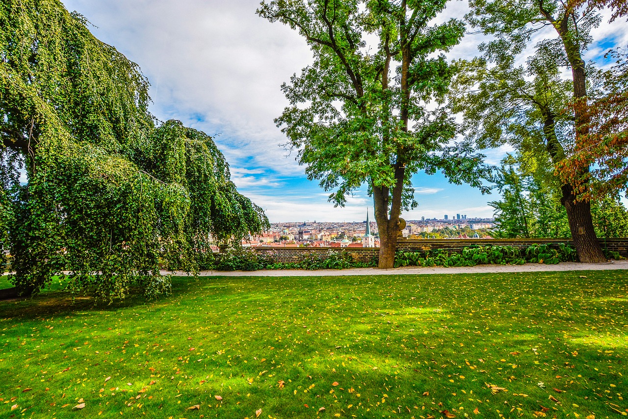 prague trees park free photo