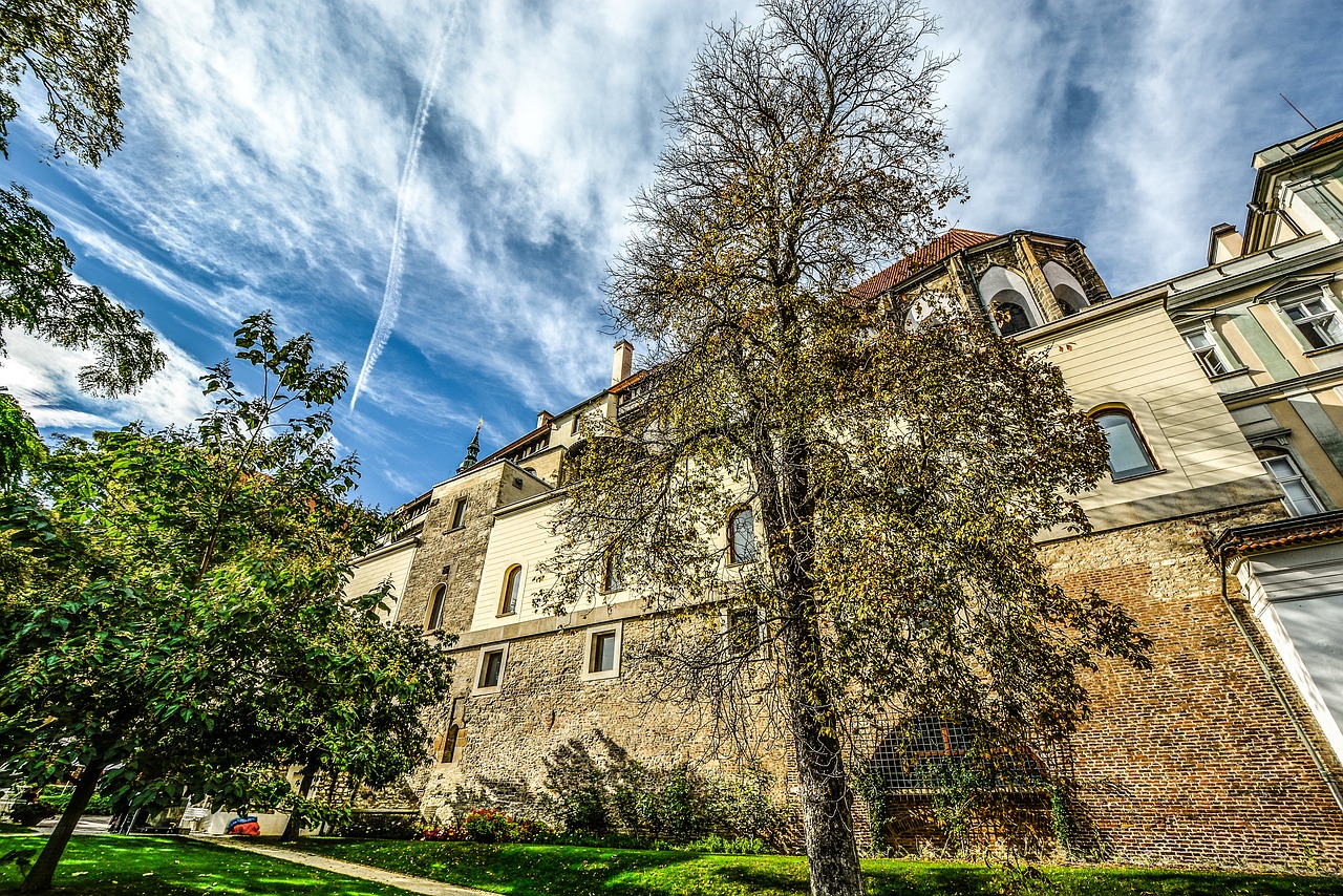 prague castle tree free photo