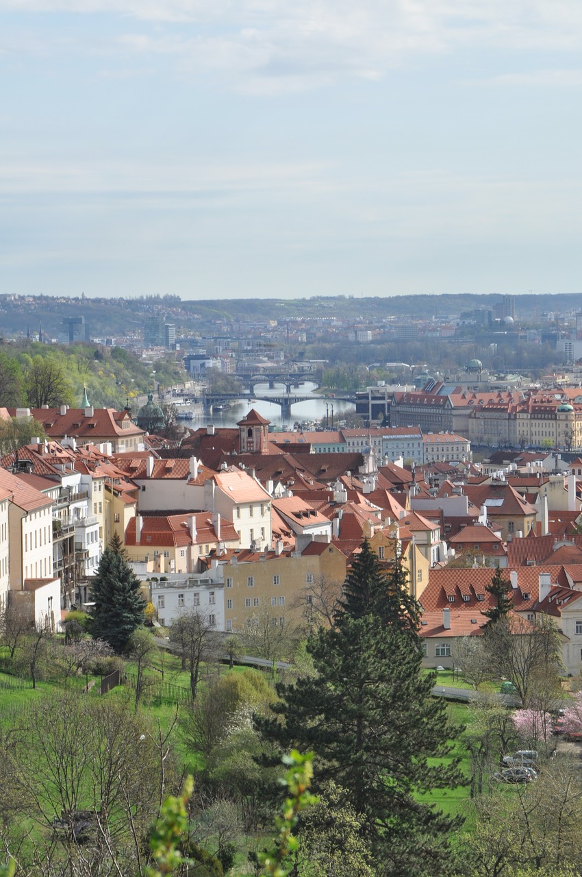 prague  castle  historic center free photo