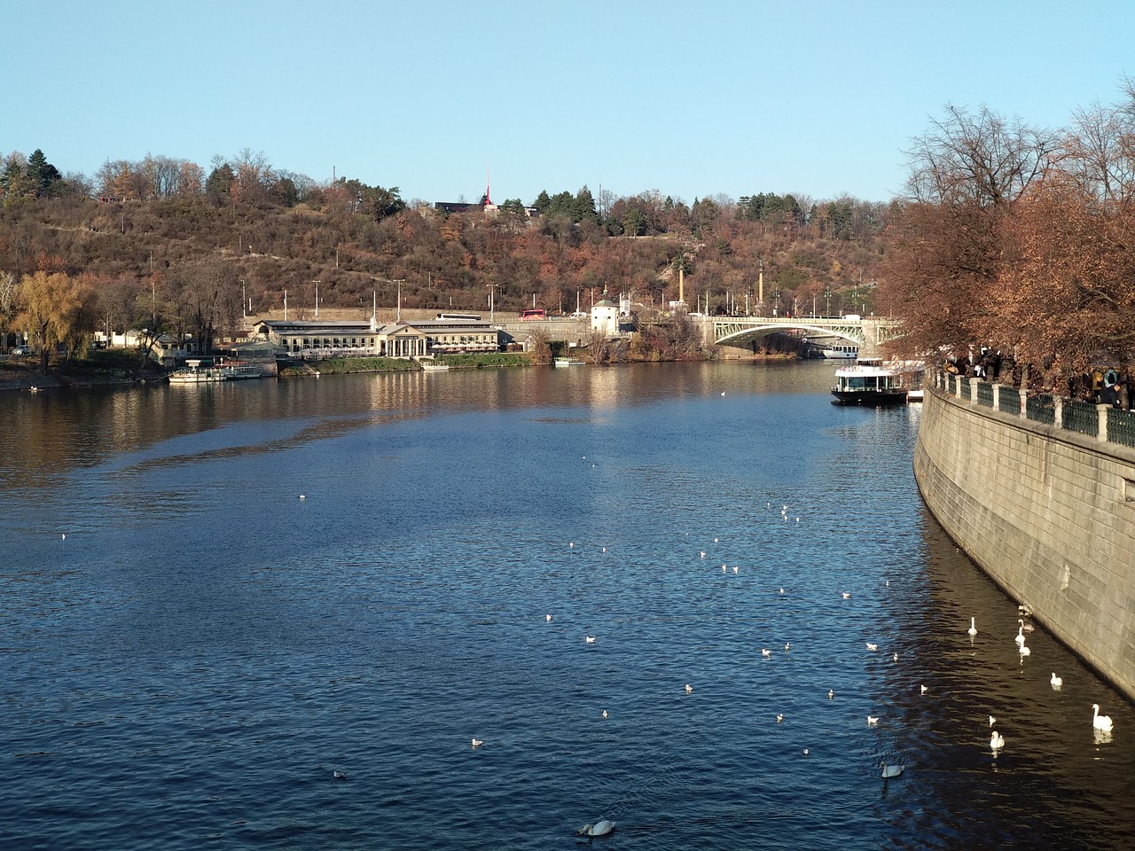 prague  cityscape  scape free photo