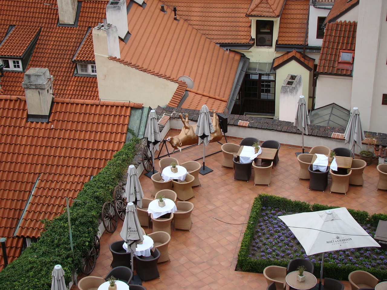 prague roof restaurant free photo