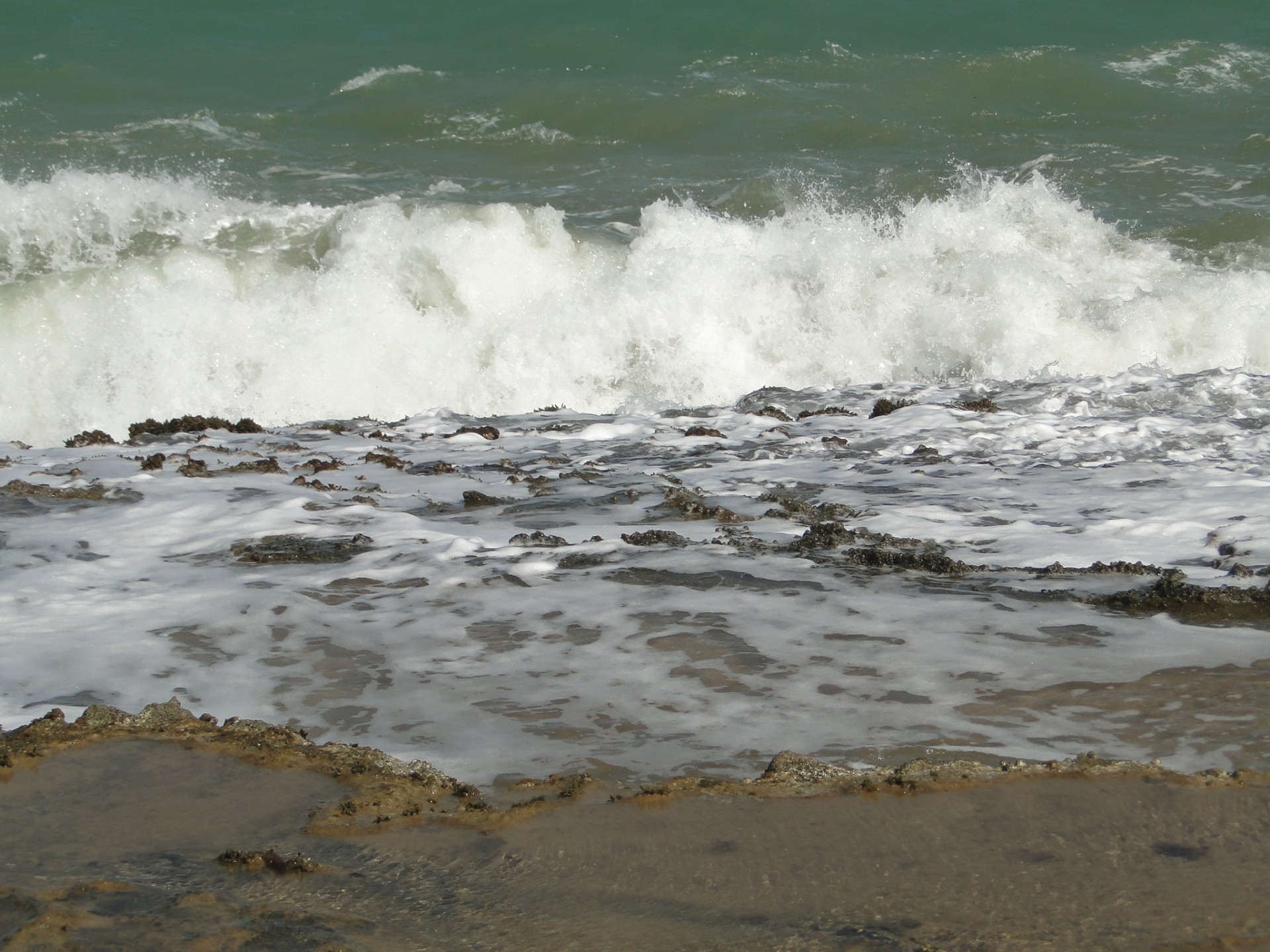 sea beach coastline free photo