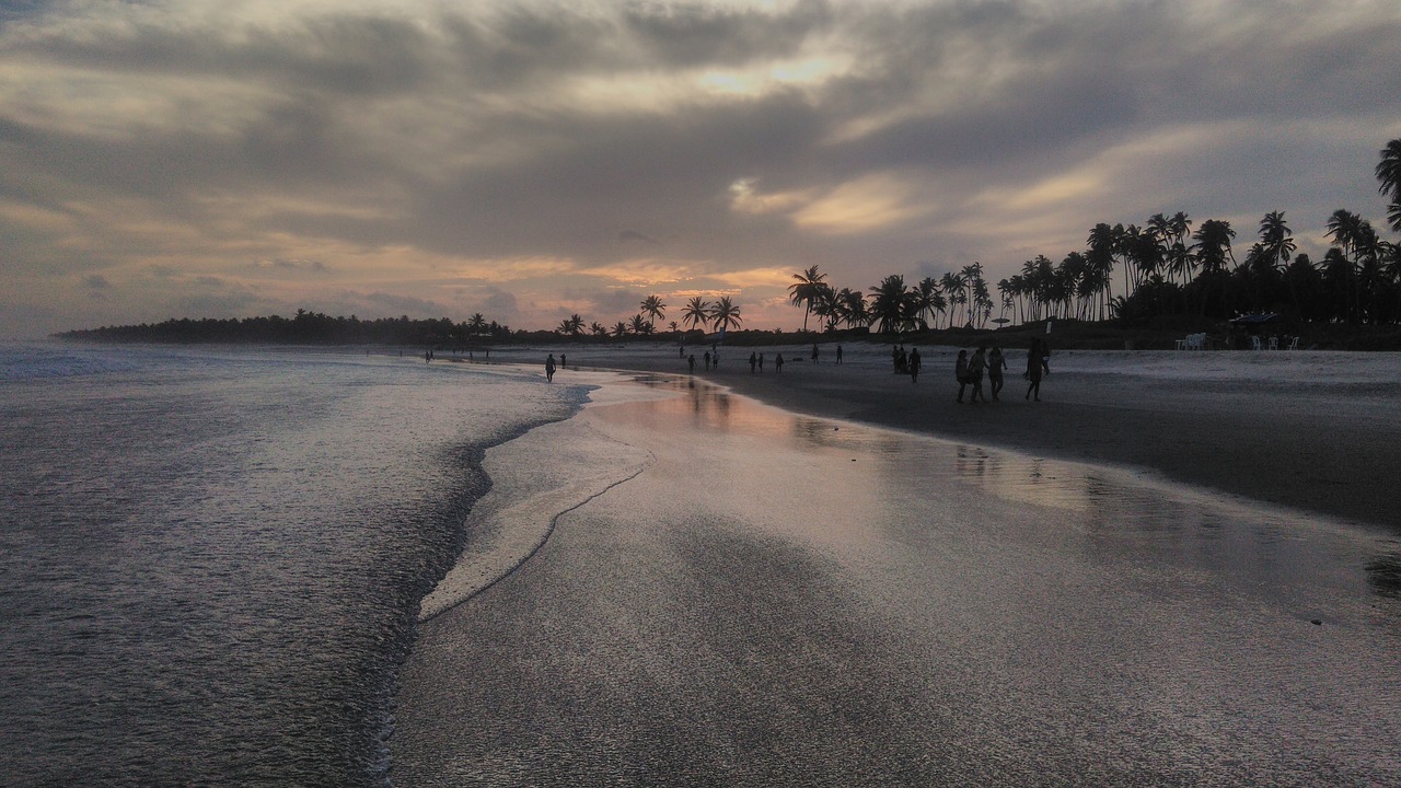 praia do frances alagoas brazil free photo