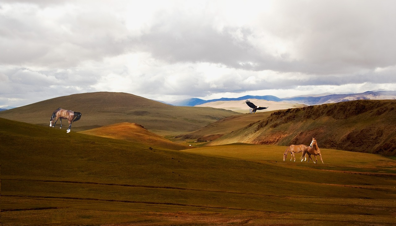 prairie steppes mountains free photo